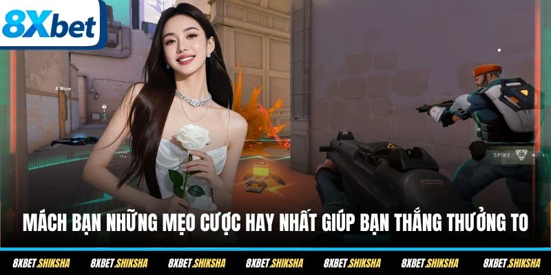 Mách bạn những mẹo cược hay nhất giúp bạn thắng thưởng to